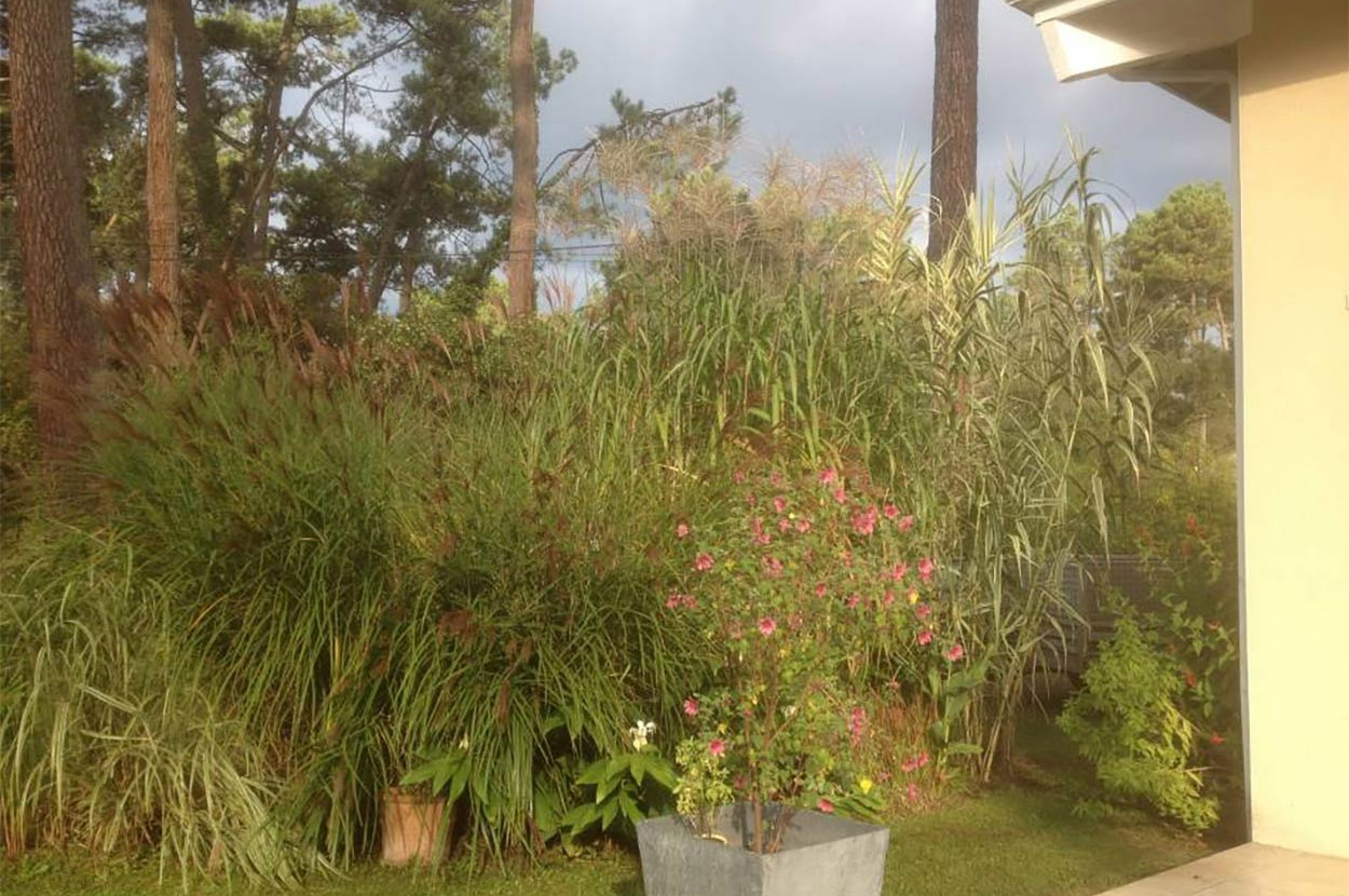 Aménagement de jardin Capbreton, Aménagement de jardin Hossegor, Arrosage automatique Capbreton, Arrosage automatique Hossegor, Création terrasse bois Capbreton, Création terrasse bois Hossegor, Entretien espace vert Capbreton, Entretien espace vert Hossegor, Entretien Piscine Capbreton, Entretien Piscine Hossegor, Gestion d’irrigation Capbreton, Gestion d’irrigation Hossegor, Paysagiste Capbreton, Paysagiste Hossegor, Piscine Capbreton, Piscine Hossegor